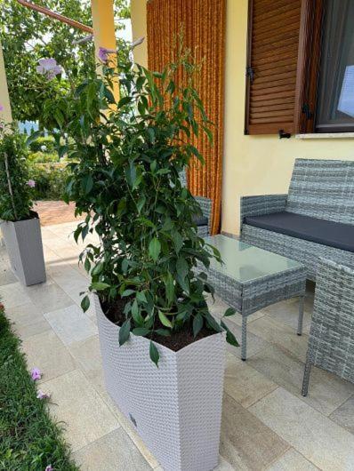 Agriturismo Il Portico Capalbio Ngoại thất bức ảnh
